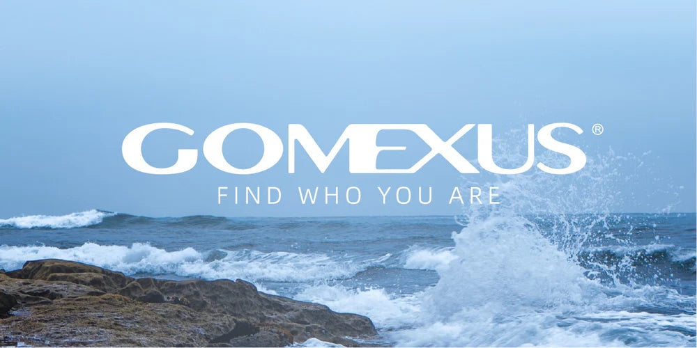 こんにちは。 GOMEXUS です。