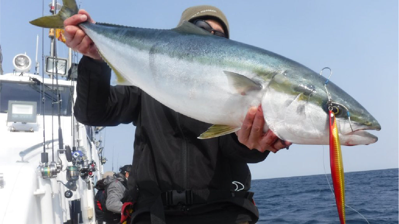 強い引きが魅力の人気ターゲット「ブリ」はどんな餌で釣れる?よく使う餌を紹介