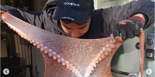 近年大流行中の「タコ釣り」に入門しよう! 釣れる時期やポイントを紹介!