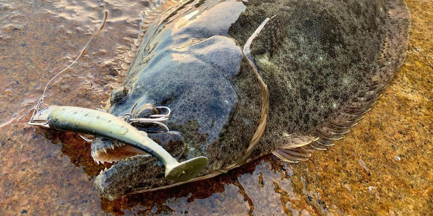 夏の釣りはターゲットがたくさん！魚釣りに出かけてみよう！