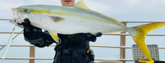 7月の海釣り完全ガイド｜地域別おすすめ魚種と必勝テクニック
